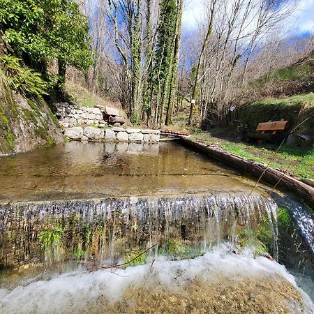 La Bouletiere Bed & Breakfast Dourbies ภายนอก รูปภาพ