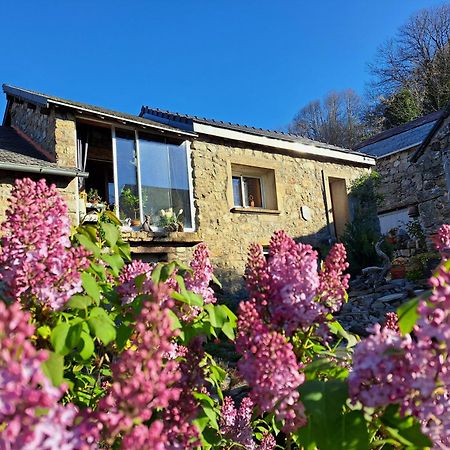 La Bouletiere Bed & Breakfast Dourbies ภายนอก รูปภาพ