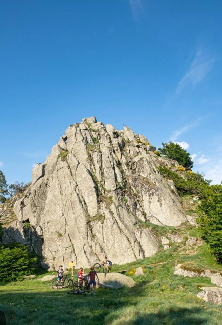 La Bouletiere Bed & Breakfast Dourbies ภายนอก รูปภาพ