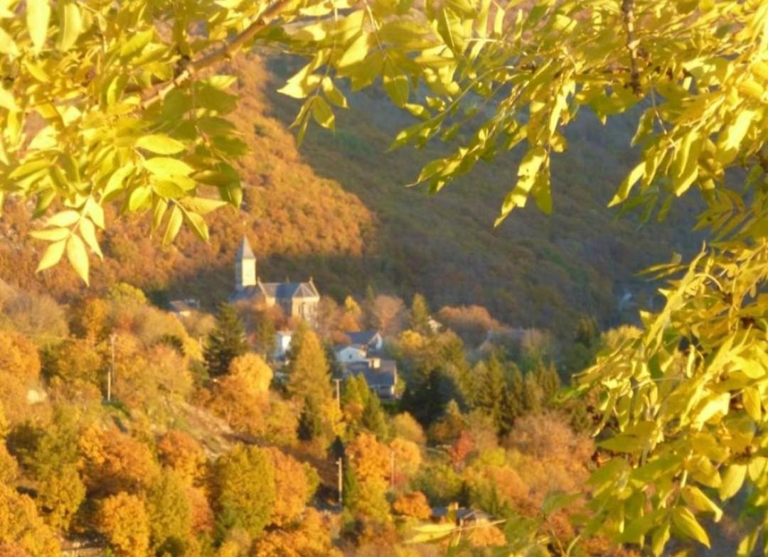 La Bouletiere Bed & Breakfast Dourbies ภายนอก รูปภาพ