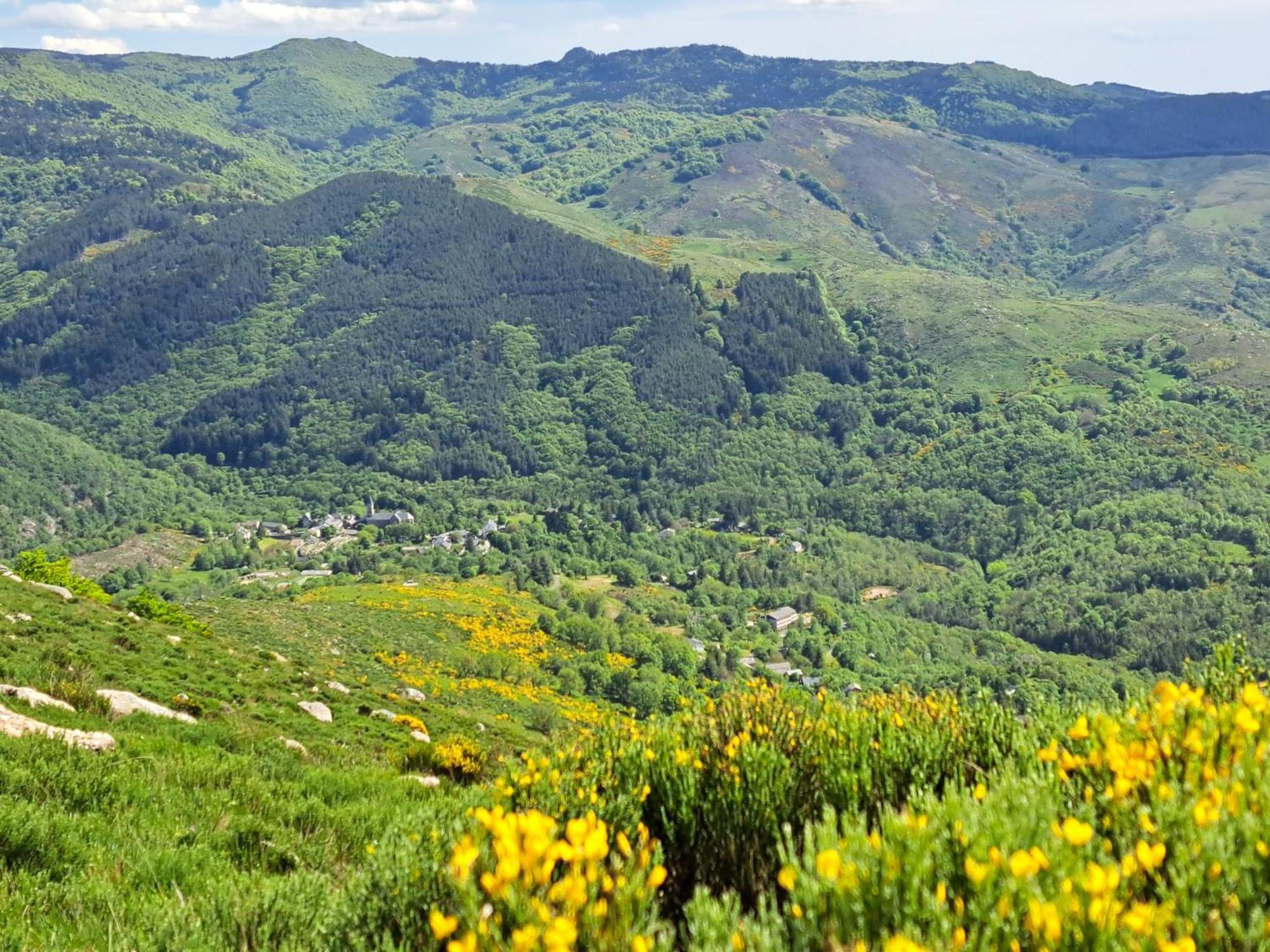 La Bouletiere Bed & Breakfast Dourbies ภายนอก รูปภาพ
