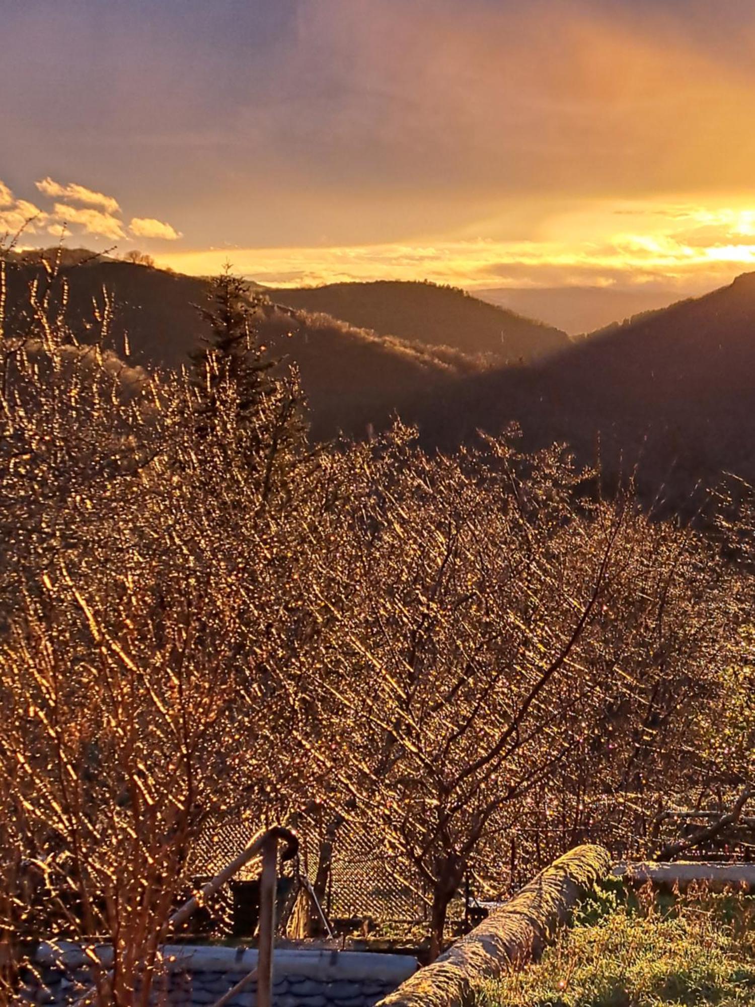 La Bouletiere Bed & Breakfast Dourbies ภายนอก รูปภาพ