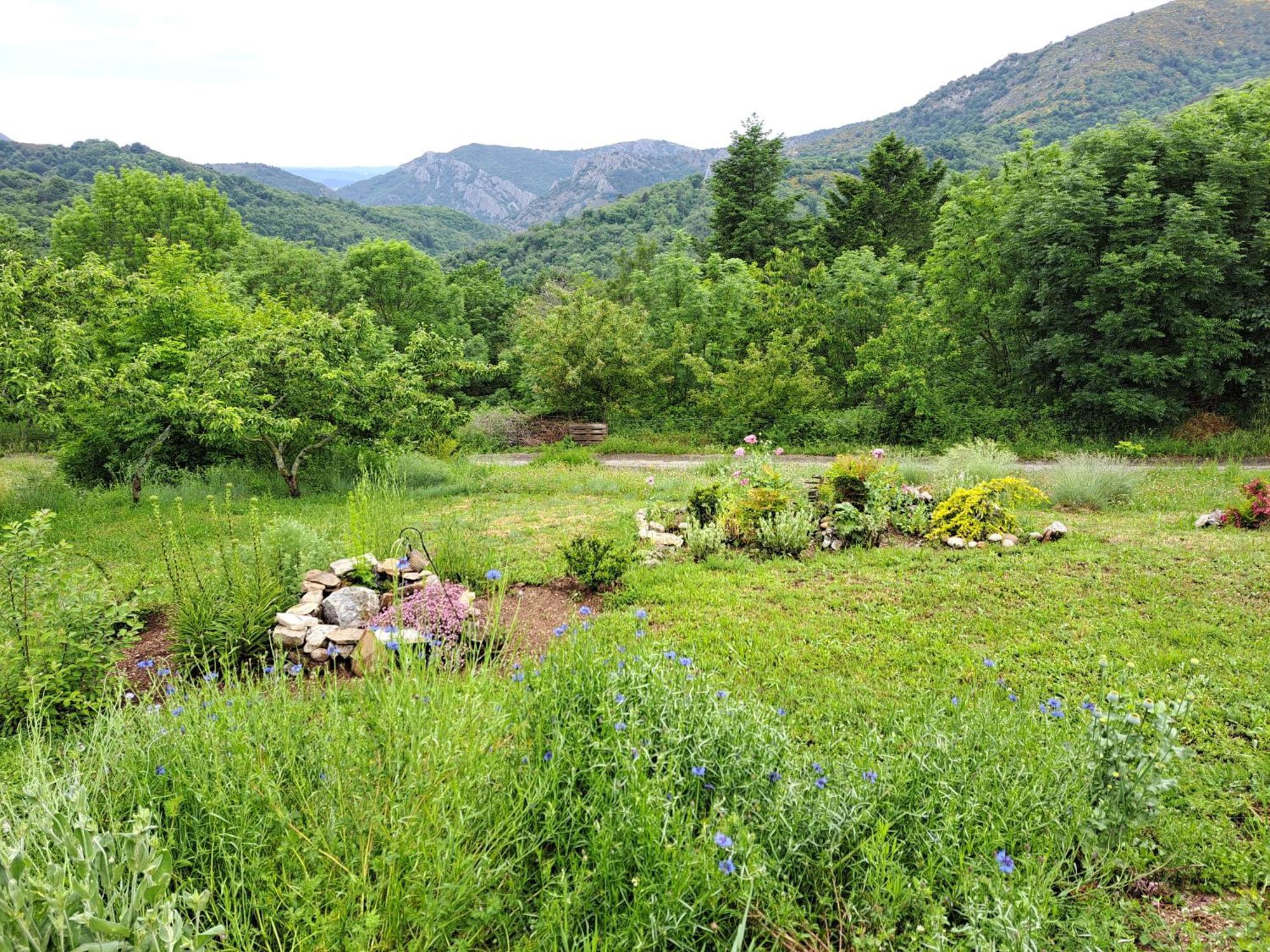 La Bouletiere Bed & Breakfast Dourbies ภายนอก รูปภาพ